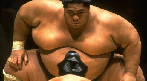 sumo_449573n.jpg
