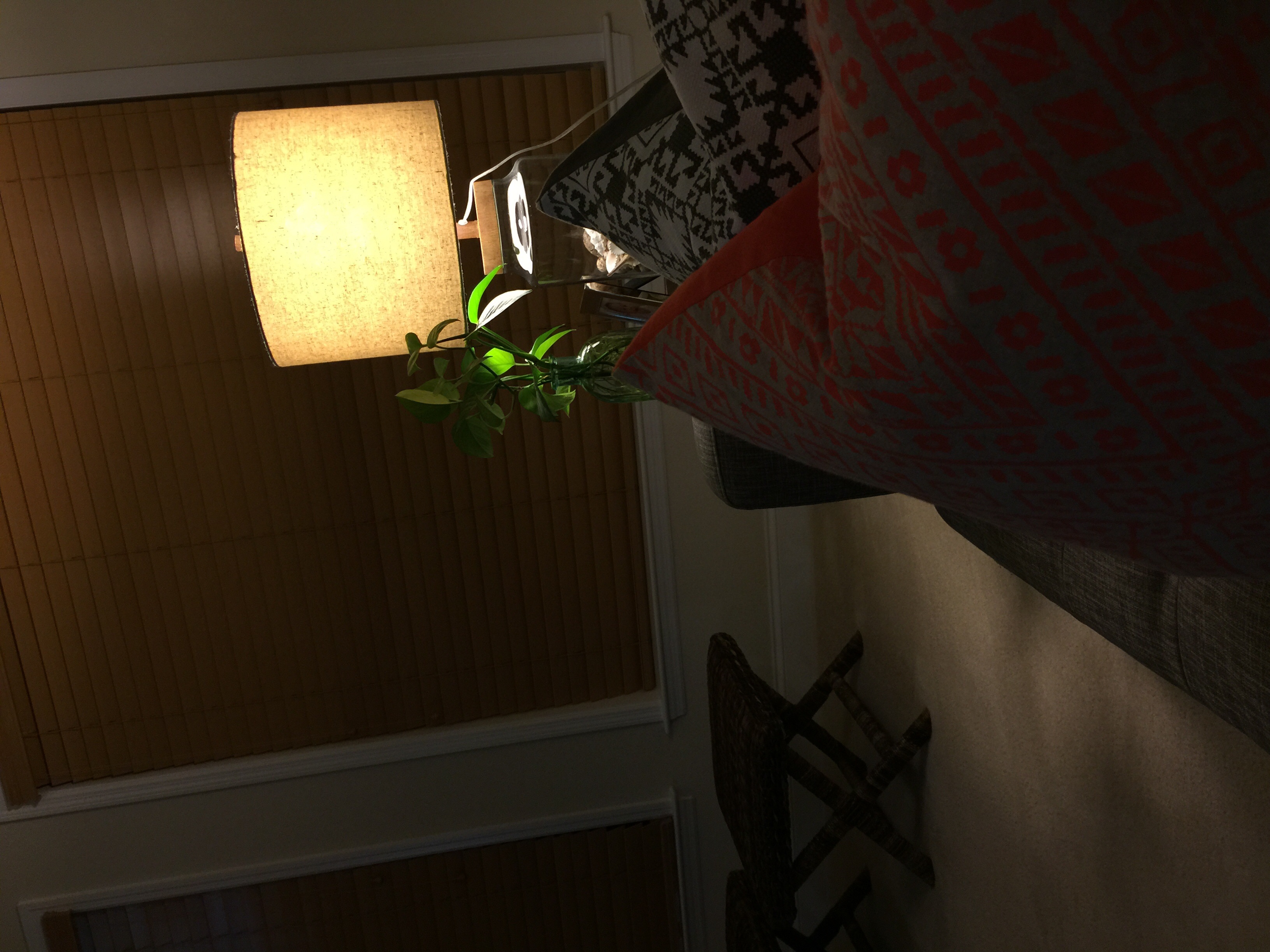 imagei0ei6.jpg