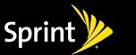 sprint.jpg