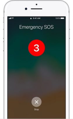 emergencysos-250x408.jpg