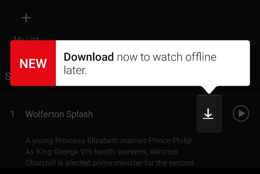 netflix-download.jpg