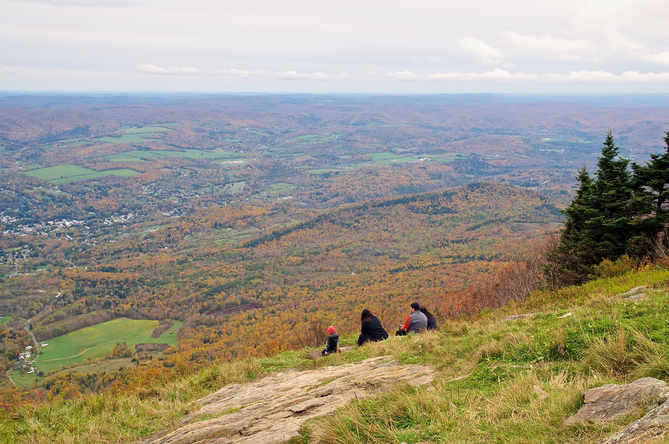 enjoyingtheview.jpg