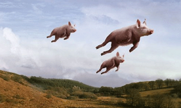 pigs_flying.png