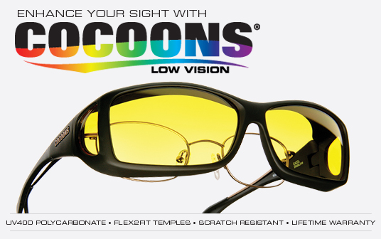 lowvision_page_header2.jpg