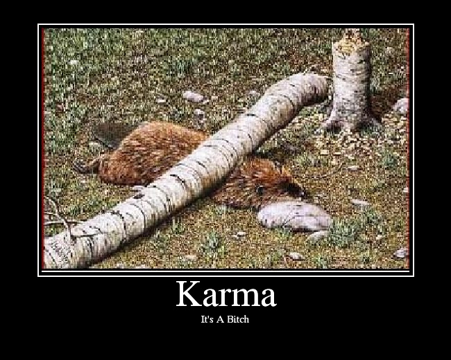 Karma.jpg