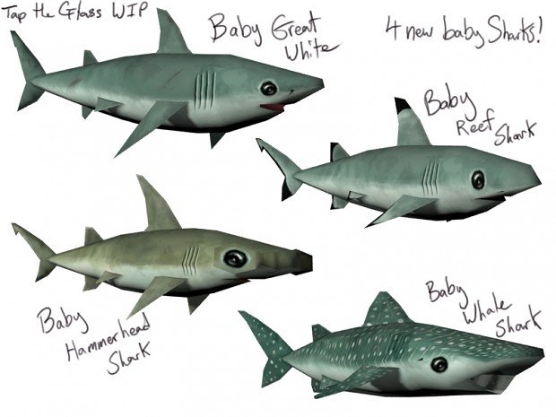 babysharks.jpg