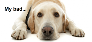 my-bad-dog-e1353360855860-300x136.png