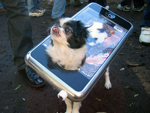 ipod_dogcostume.jpg