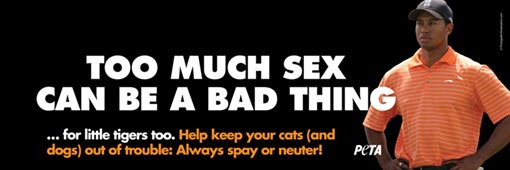 peta-tiger-ad_510.jpg