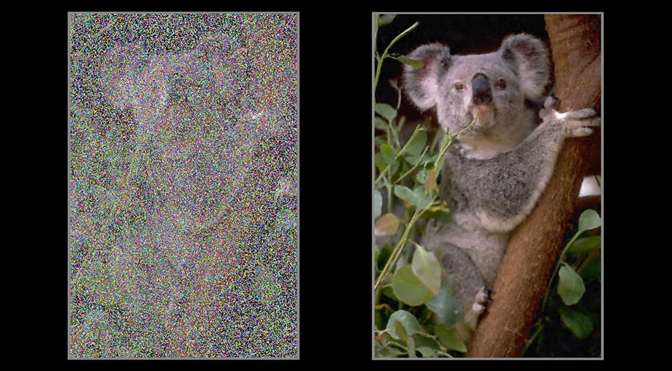 big_noise2noise_koala_banner.jpg