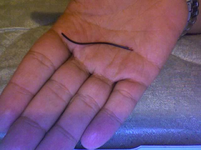 Photo13.jpg