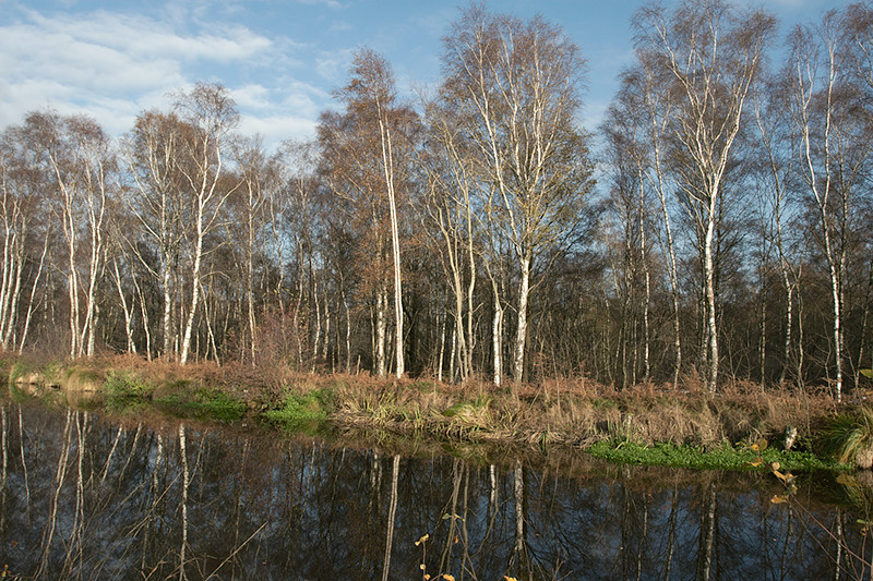deurne0005.jpg