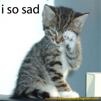 cute-kitten-crying.jpg