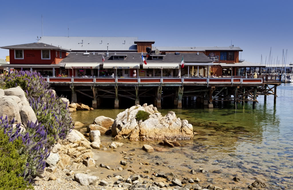 Monterey023.jpg