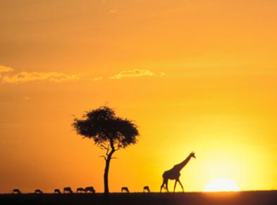 IndexMaraSunset.jpg
