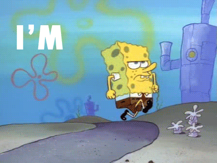 img-2607202-1-im-ready.gif