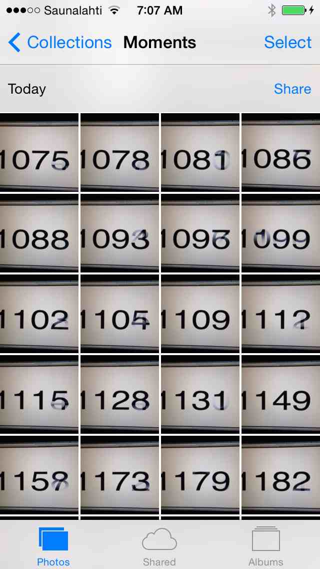 snappy-1.jpeg