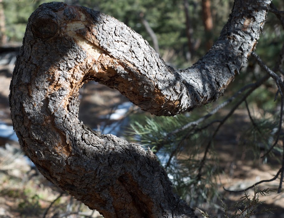 DSC_1453.jpg
