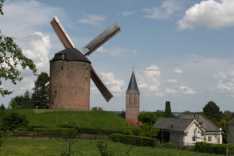 distelheide0076.jpg