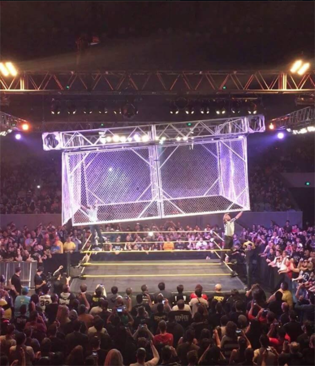 steel-cage-botch.png