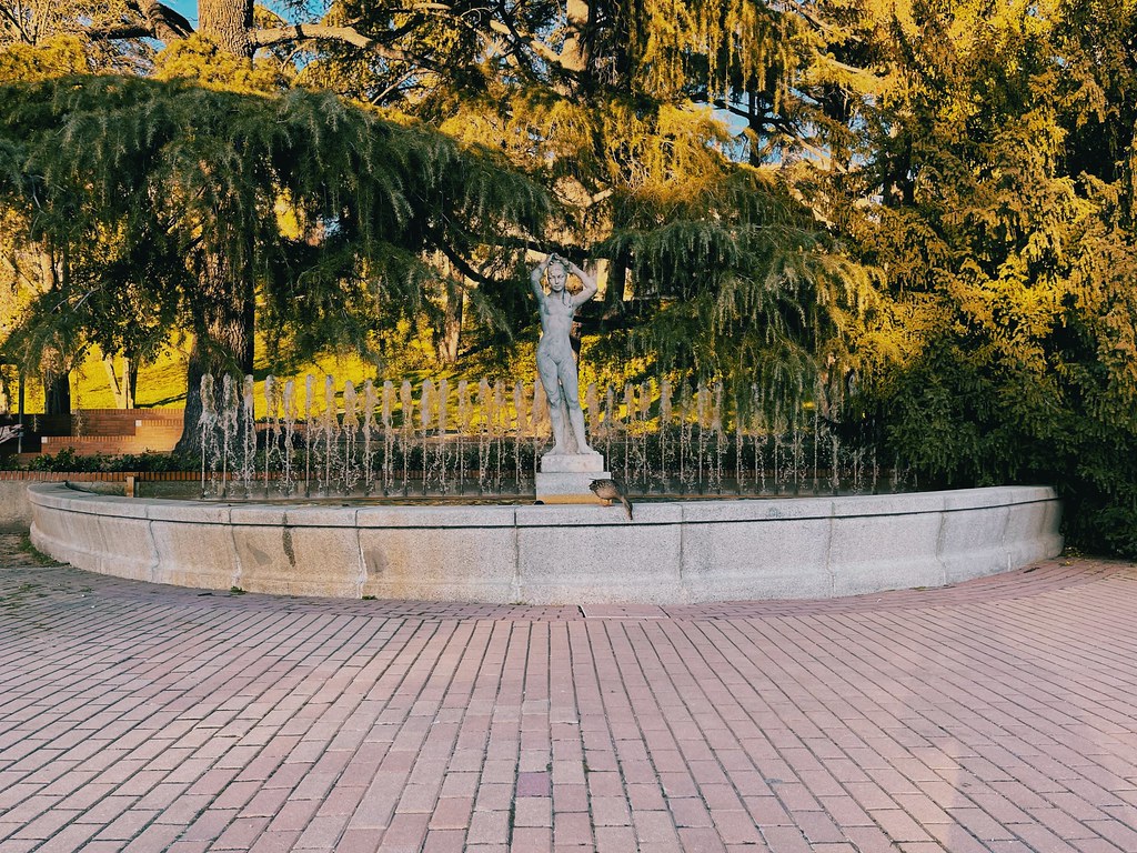 51050053592_7e5eaafc3d_b.jpg