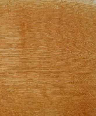 whiteoak05.jpg