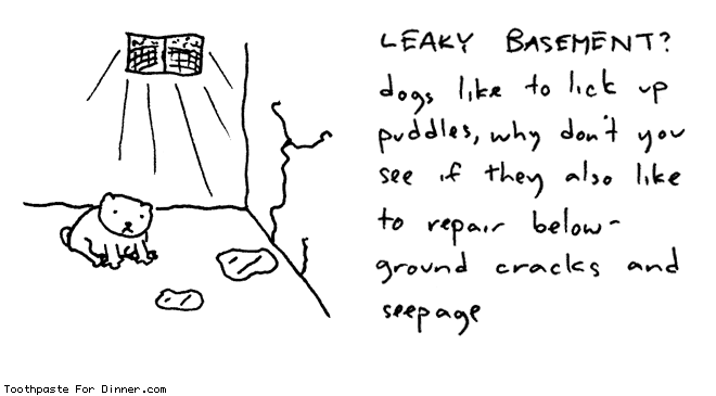 leaky-basement.gif