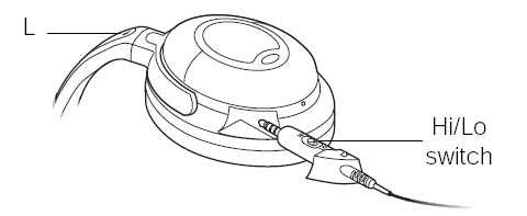 bose.jpg