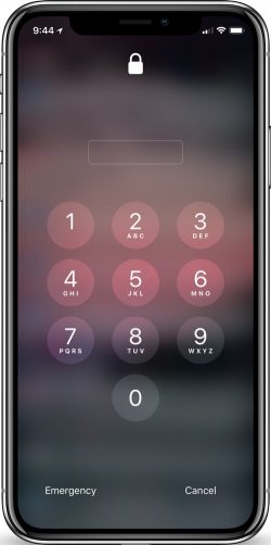 iphonexlocked-250x502.jpg