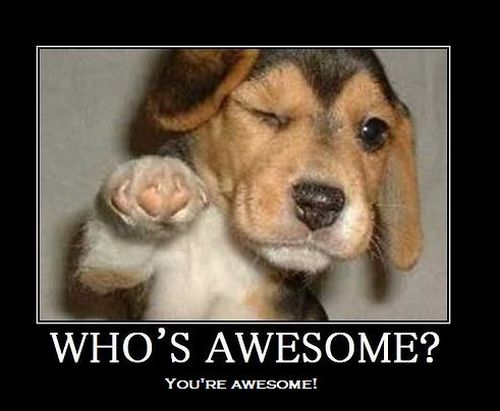 Awesome.jpg