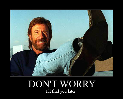 chuck_norris_joke_by_queen_miushka-d3f8rio.jpg