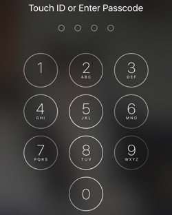 passcode-250x312.jpg