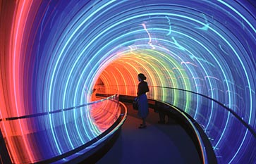 02482D00_ss.jpg
