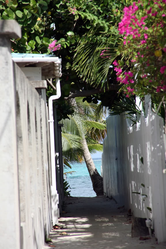 alleywaytobeachr.jpg
