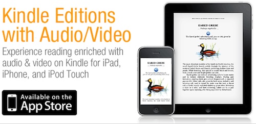 133131-kindle_audio_video.jpg