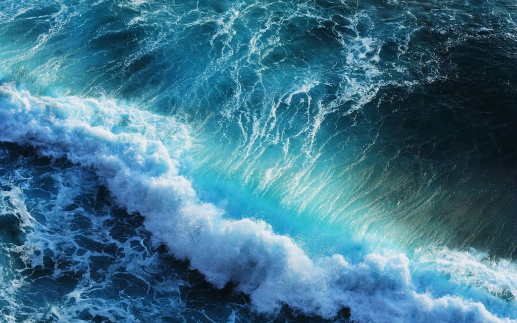 6f6b48fd7d22835e1e011d3b199b6d5e.jpg