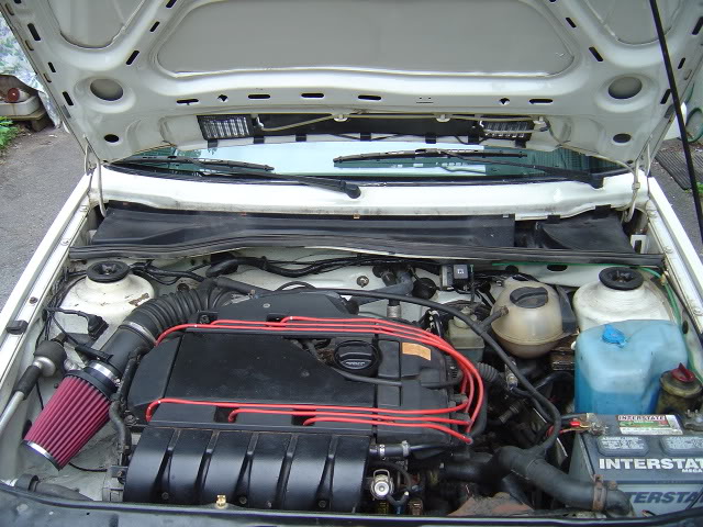 DSC00867.jpg