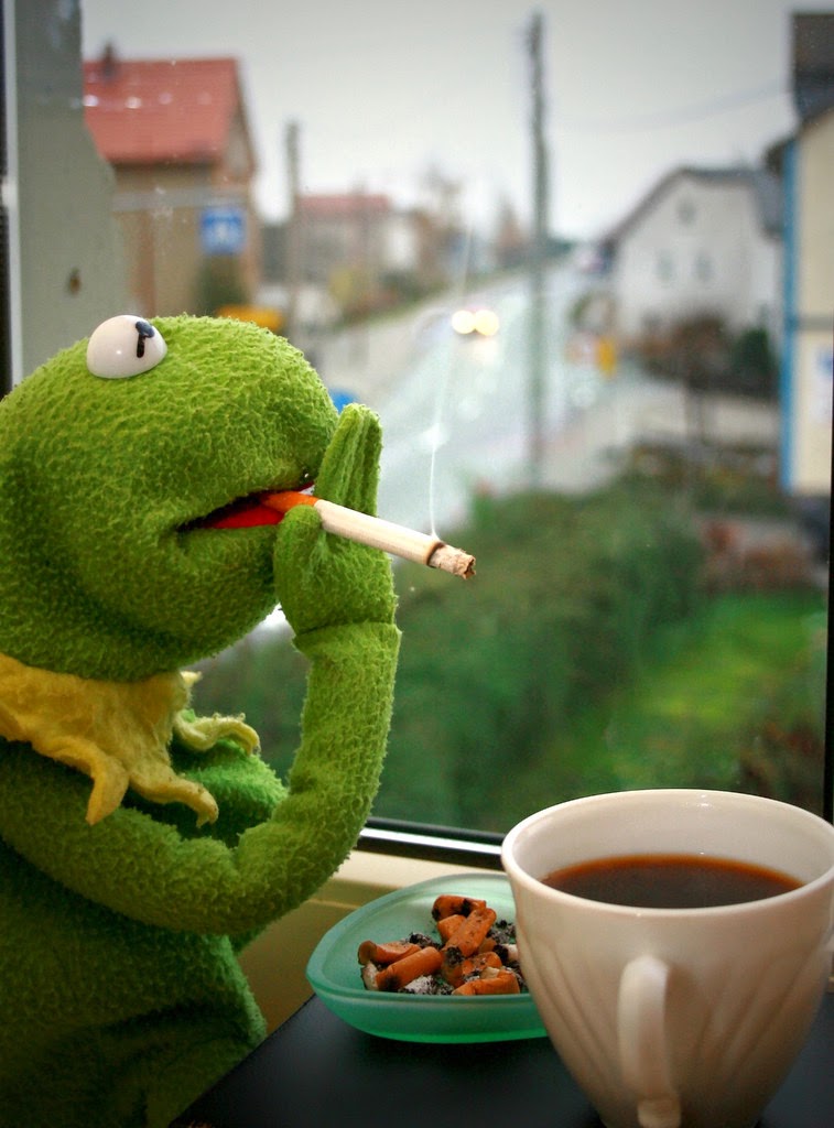 kermit+smoking.jpg