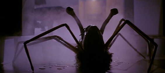 the-thing-spider-head-legs-and-eyes.jpg