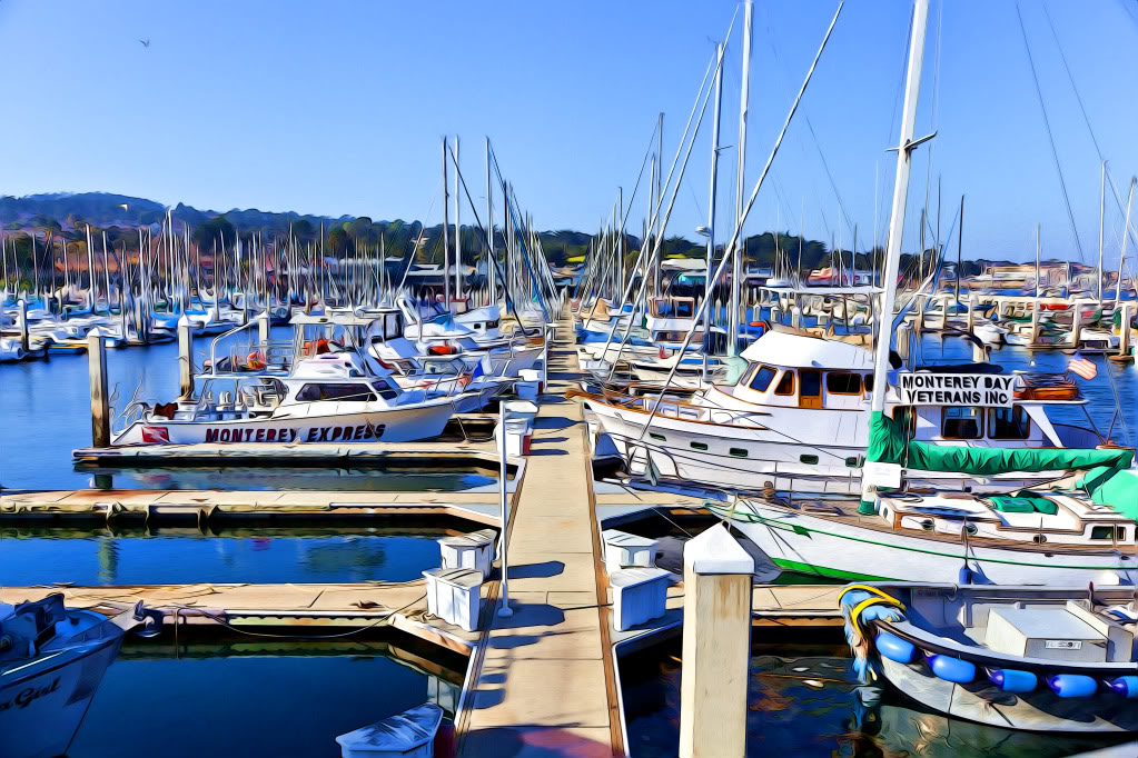 MonteryBay0016.jpg