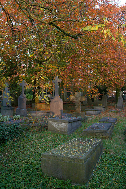 kerkhof0030.jpg