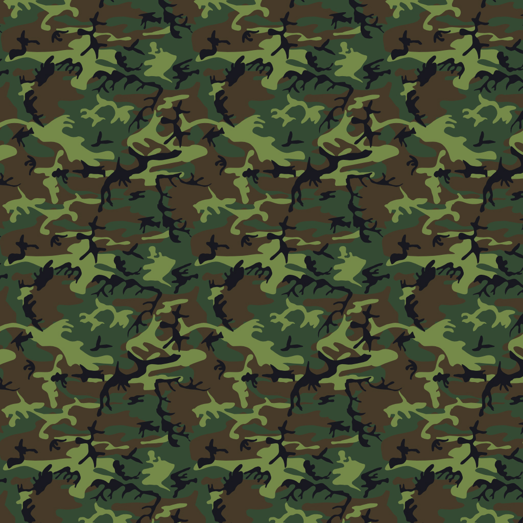 camo1.jpg