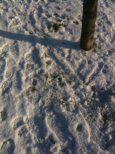 4251223099_c9005209e5.jpg