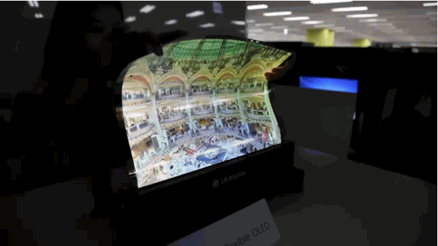 lg1.gif