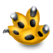 NewImage14.png