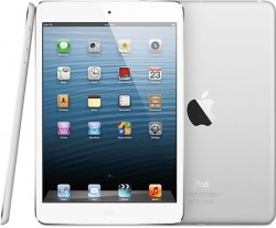 roundup-ipadmini-250x206.jpg