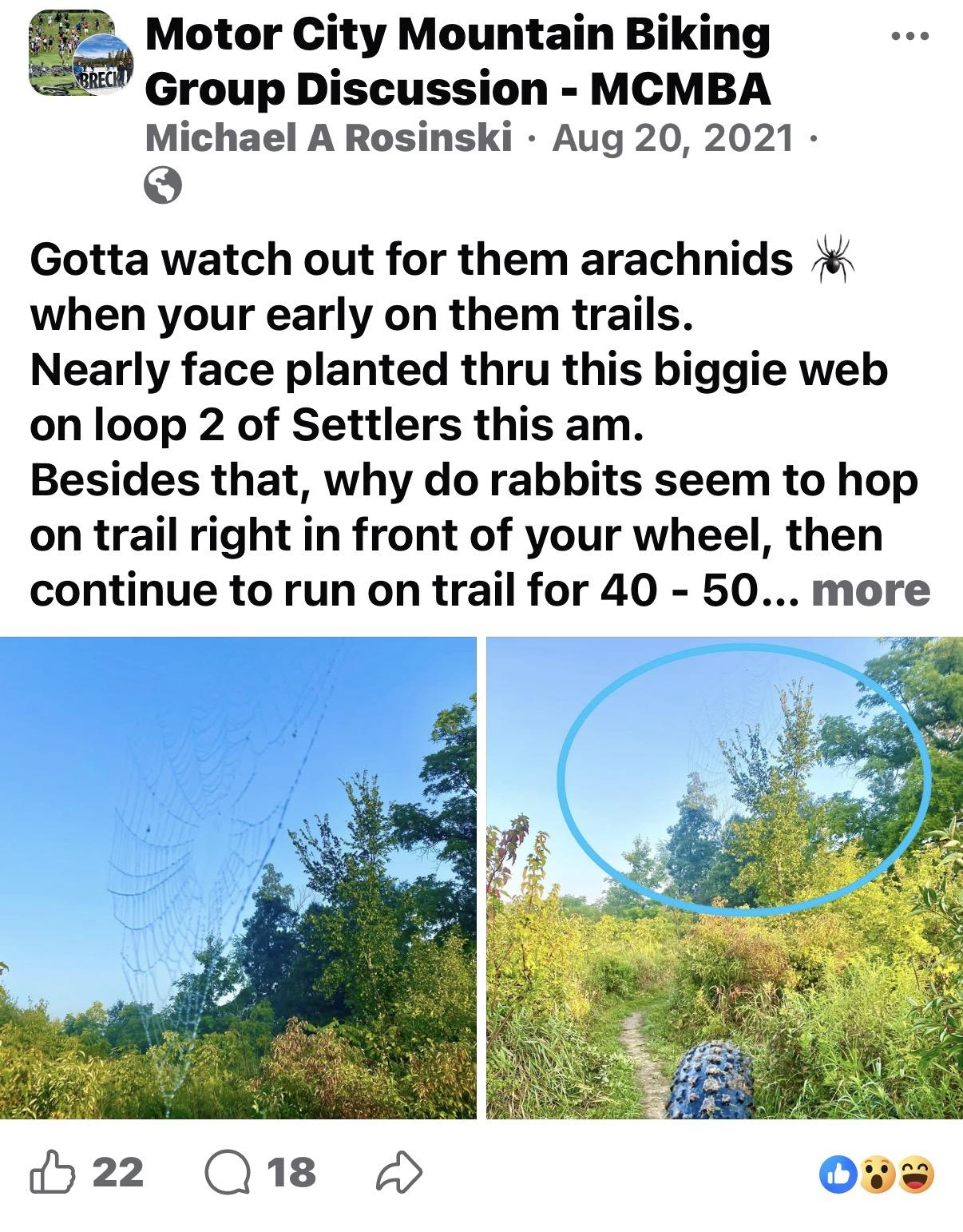 ee5a86a17638437afeed0157b66a7360.png