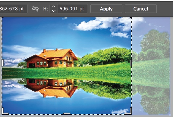 adobeillustratorcrop.jpg