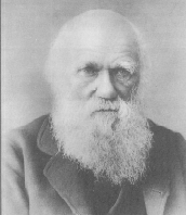 darwin.gif