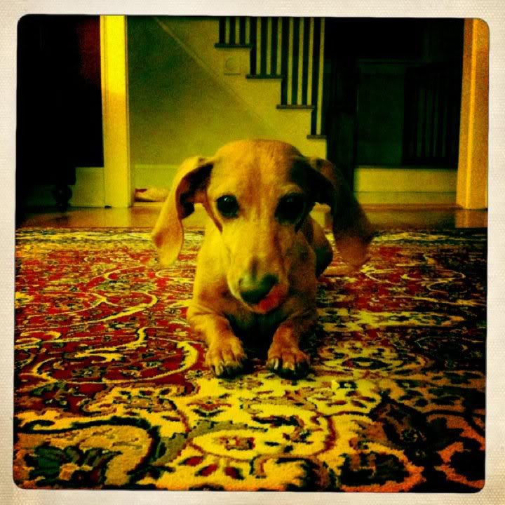 2010-07-27Tucker.jpg